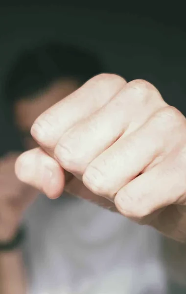 Techniques Tsuki Wasa